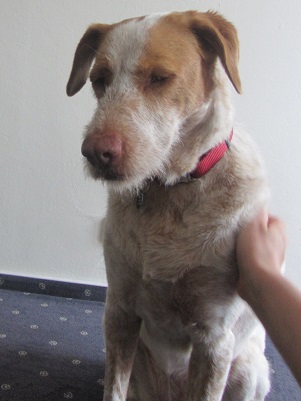 blanca7.jpg