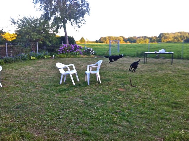 Bild 18.jpg