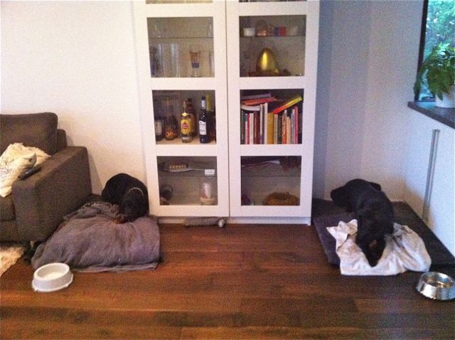 Bild 13.jpg