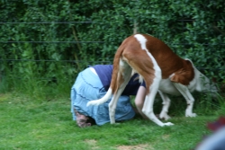 Mäuschen, hab Hilfe geholt.JPG