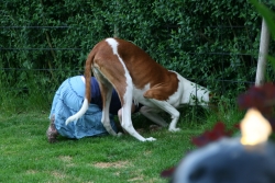 Mäuschen, wir sind ganz nah dran...JPG