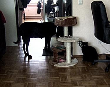 DSCF2096.JPG