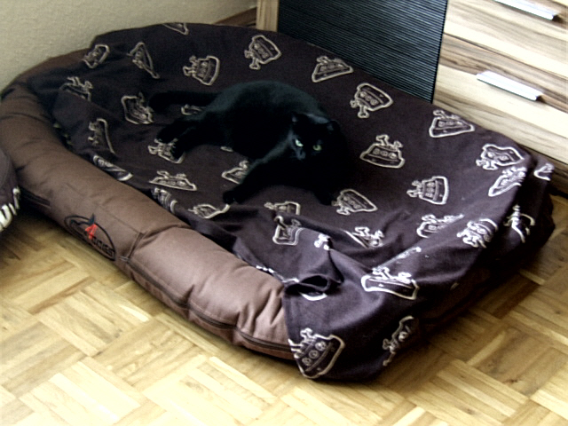 DSCF2101.JPG