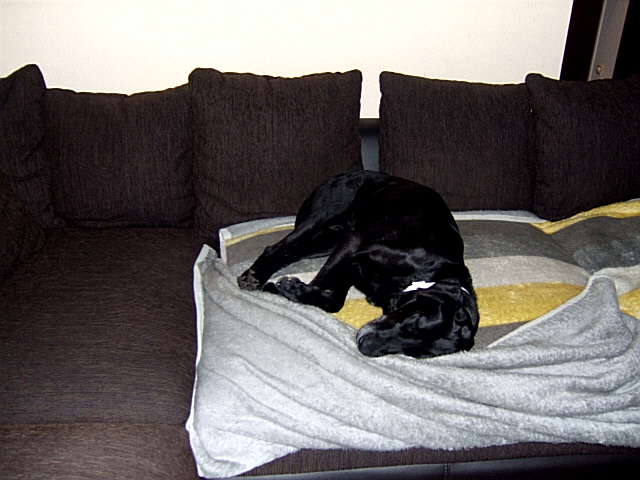 DSCF2106.JPG