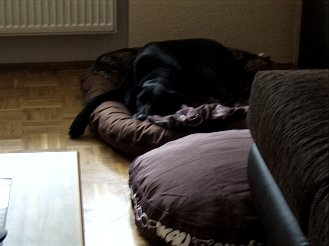 DSCF2108.JPG