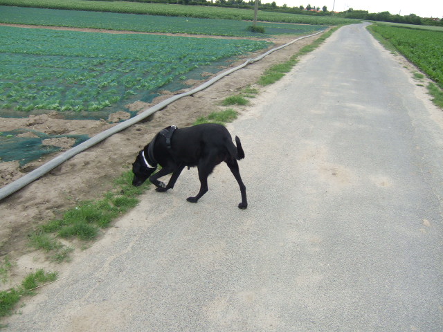 DSCF2110.JPG