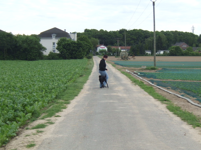 DSCF2116.JPG