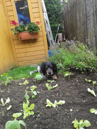 20130630_142404.jpg