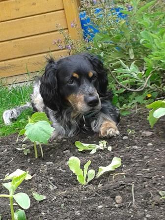 20130630_142411.jpg