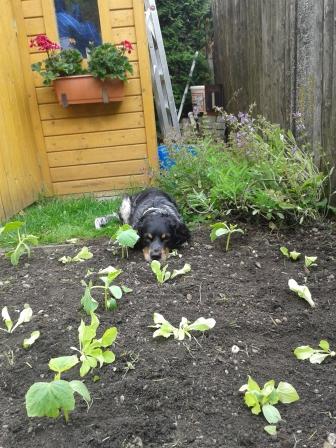20130630_142417.jpg