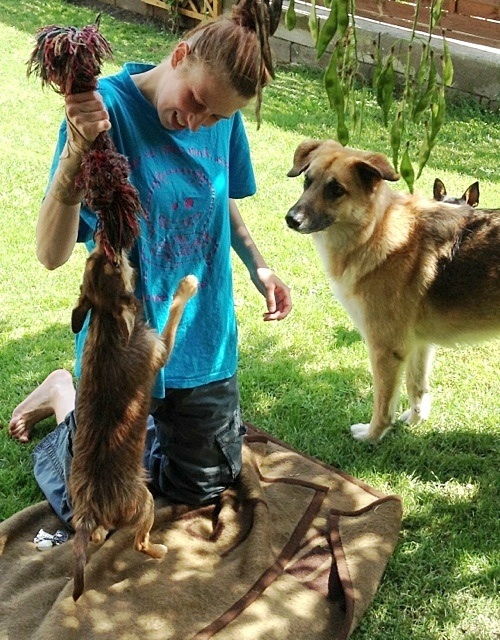 image.jpg