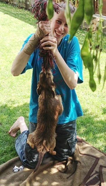 image.jpg