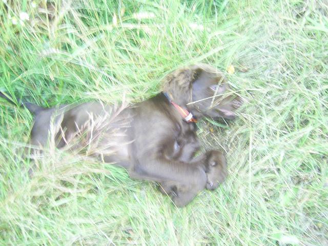 PIC_0115.JPG
