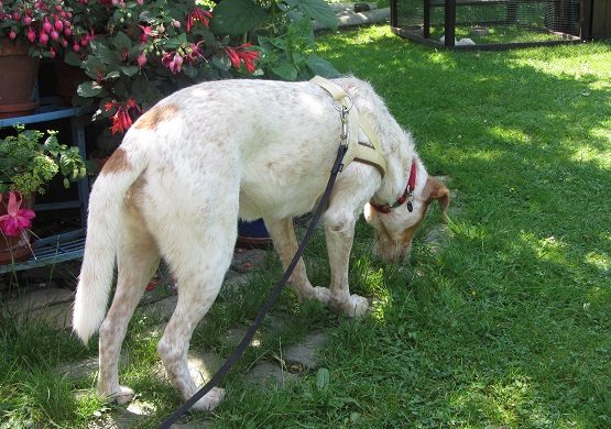 blanca34.jpg
