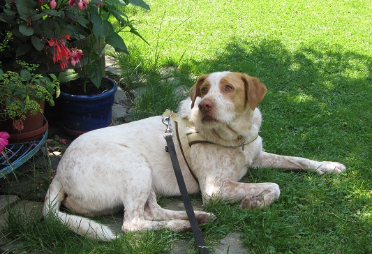 blanca36.jpg