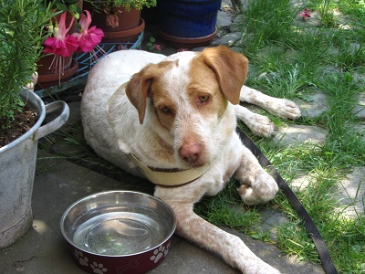 blanca38.jpg