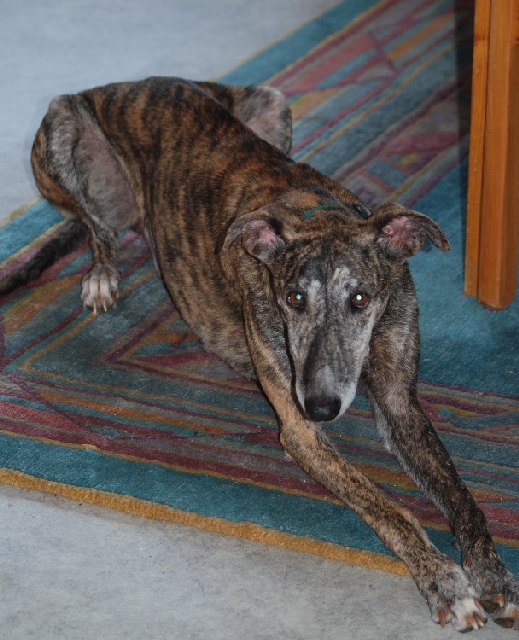 DSC_0279klein.jpg