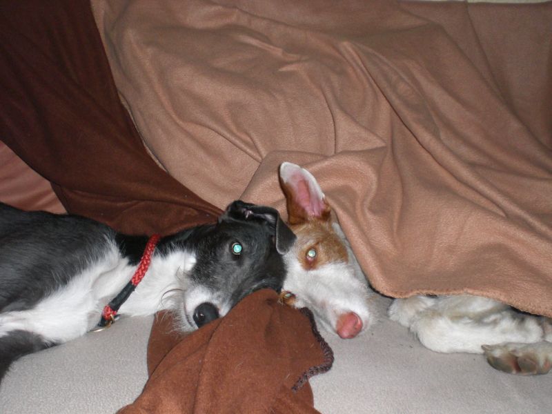 Izu und Luna.jpg