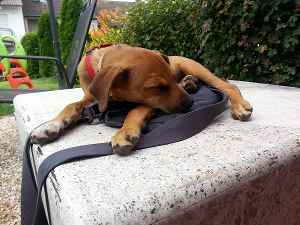 Cuddy3.jpg