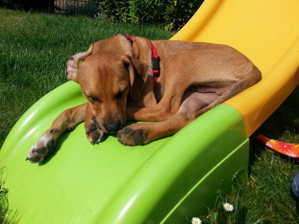 Cuddy4.jpg