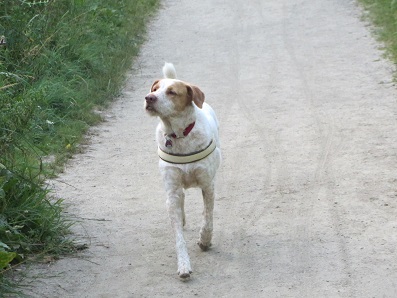 blanca42.jpg