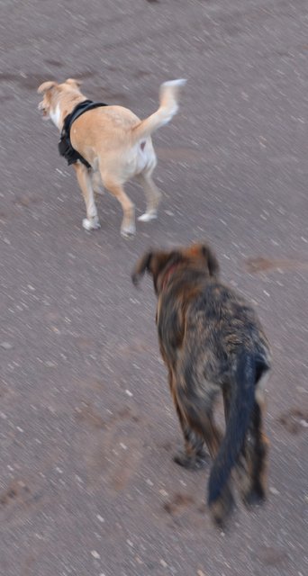 DSC_0428.JPG