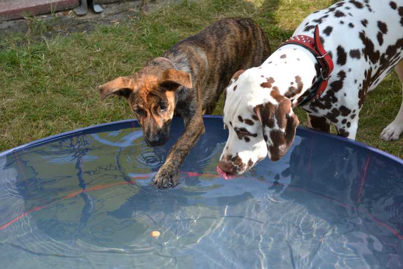 Schwimmleckerchen ;)