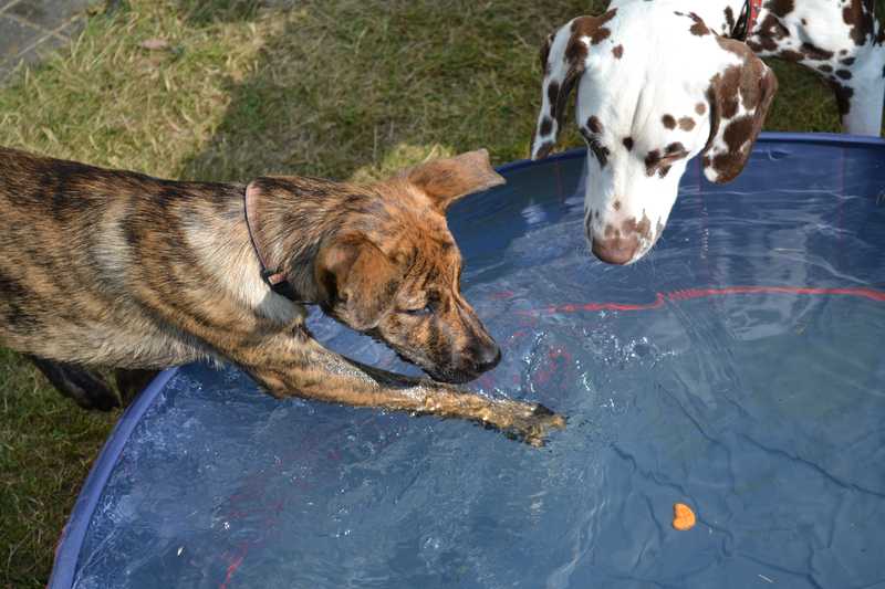 Alles meins oder - noch nicht ganz Deepdiving