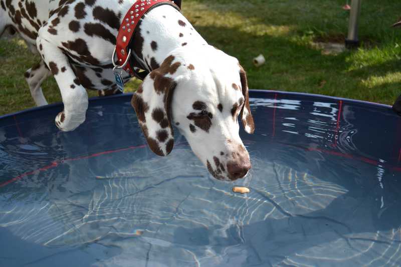 Wasser1.JPG