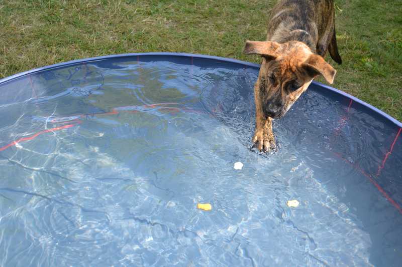 Wasser2.JPG