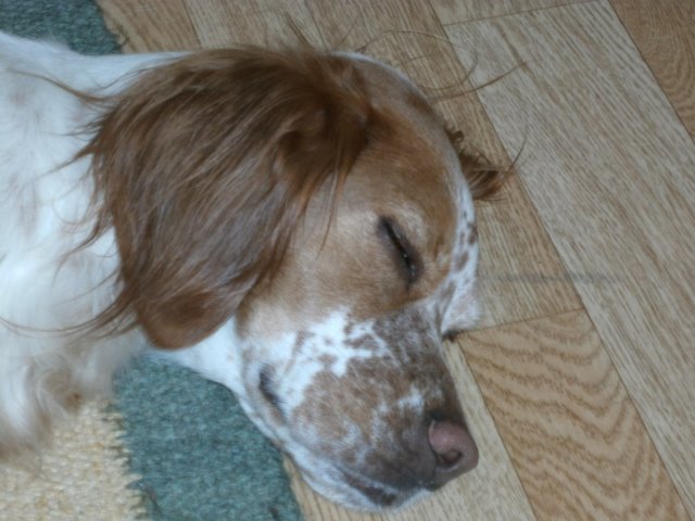PICT0259.jpg