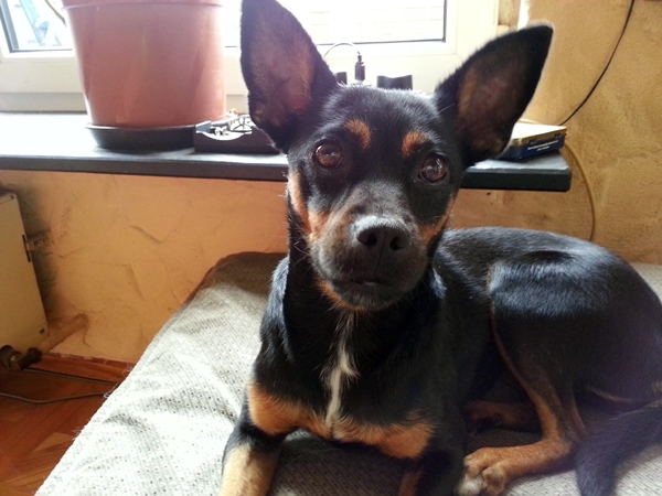 20130703_115515.jpg