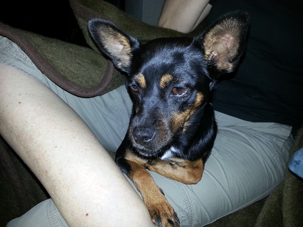 20130716_224028.jpg