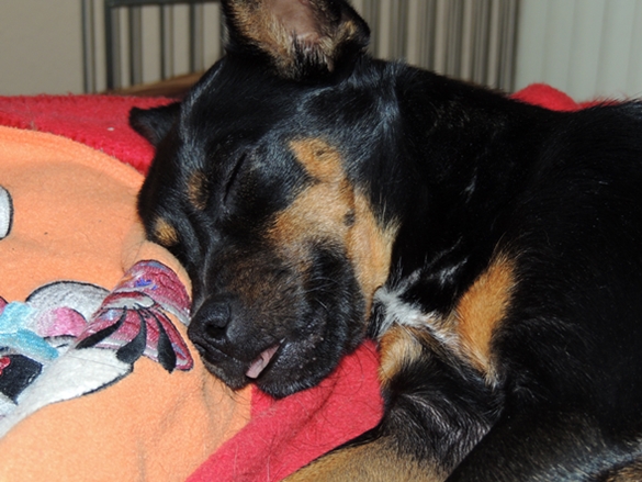 DSCN3916.JPG