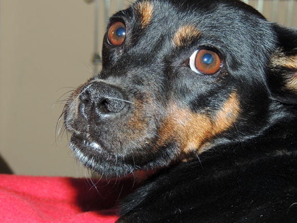 DSCN3926.JPG