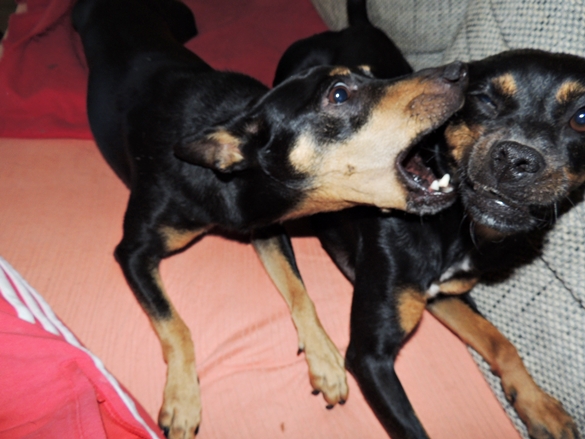 DSCN3933.JPG