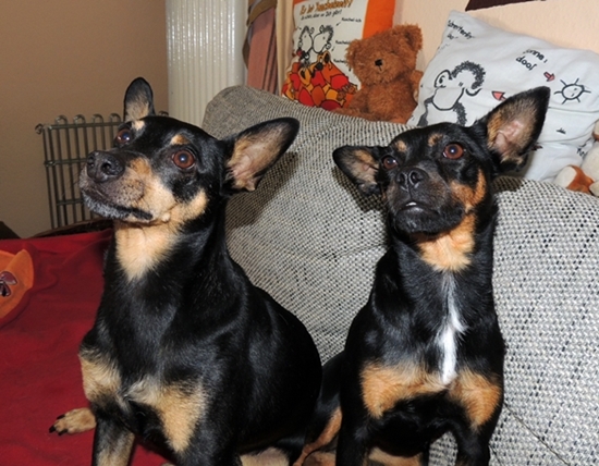 DSCN3938.JPG