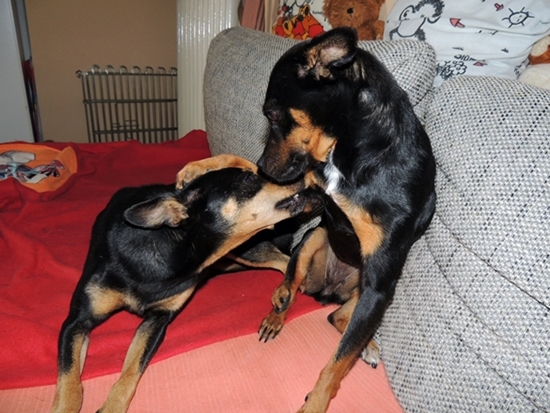 DSCN3939.JPG