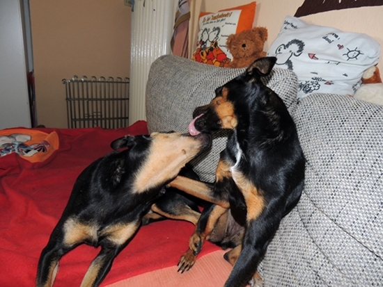 DSCN3941.JPG