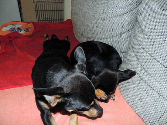 DSCN3945.JPG