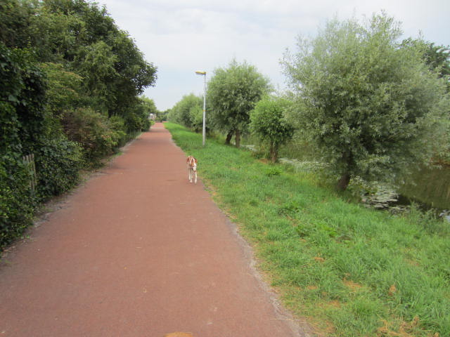 IMG_0764.JPG