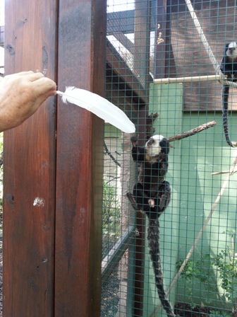 ZooHeidelberg (1)KLEIN.jpg
