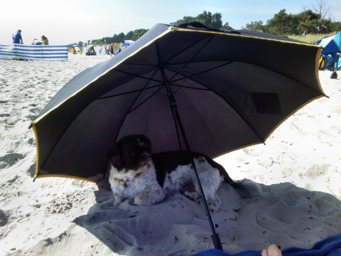 IMG_20130722_100230.jpg