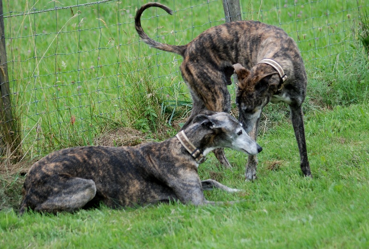 DSC_1265k.jpg