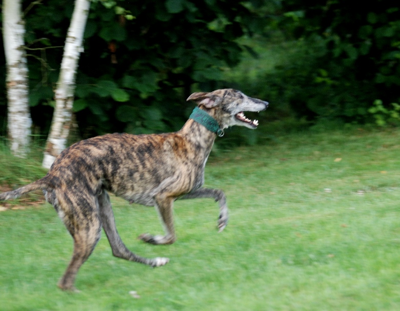 DSC_1347k.jpg
