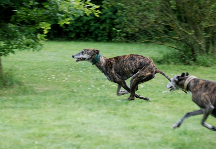 DSC_1353k.jpg