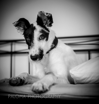 DSC_6111-klein.jpg