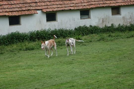 MAITHO und CENI.jpg