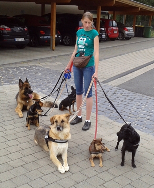 2013-08-09 18.27.11-1.jpg