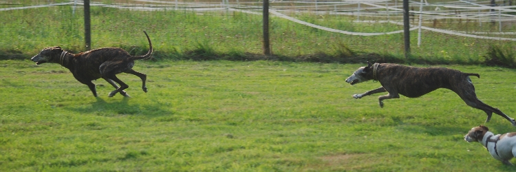 DSC_0254k.jpg